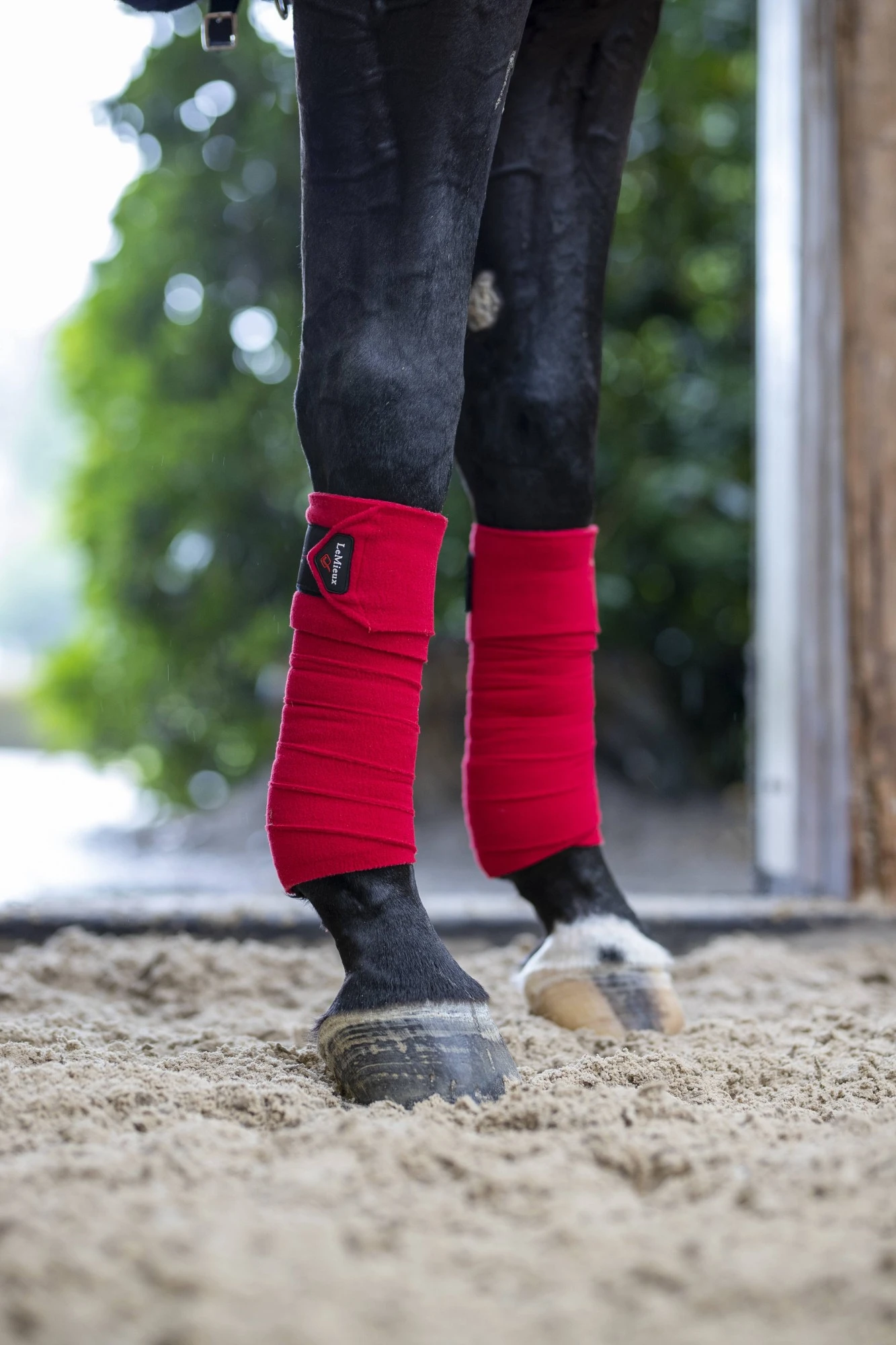 LeMieux Polo Bandages (Chilli) - Image 3