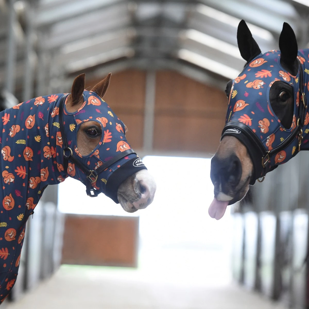 Weatherbeeta Printed Stretch Hood With Zip (Squirrel Print) - Image 3