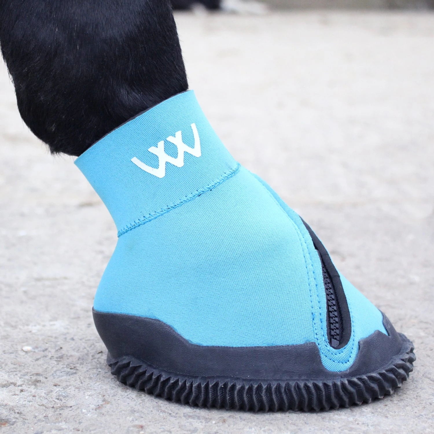 Woof Wear Medical Hoof Boot (Blue) - Image 3
