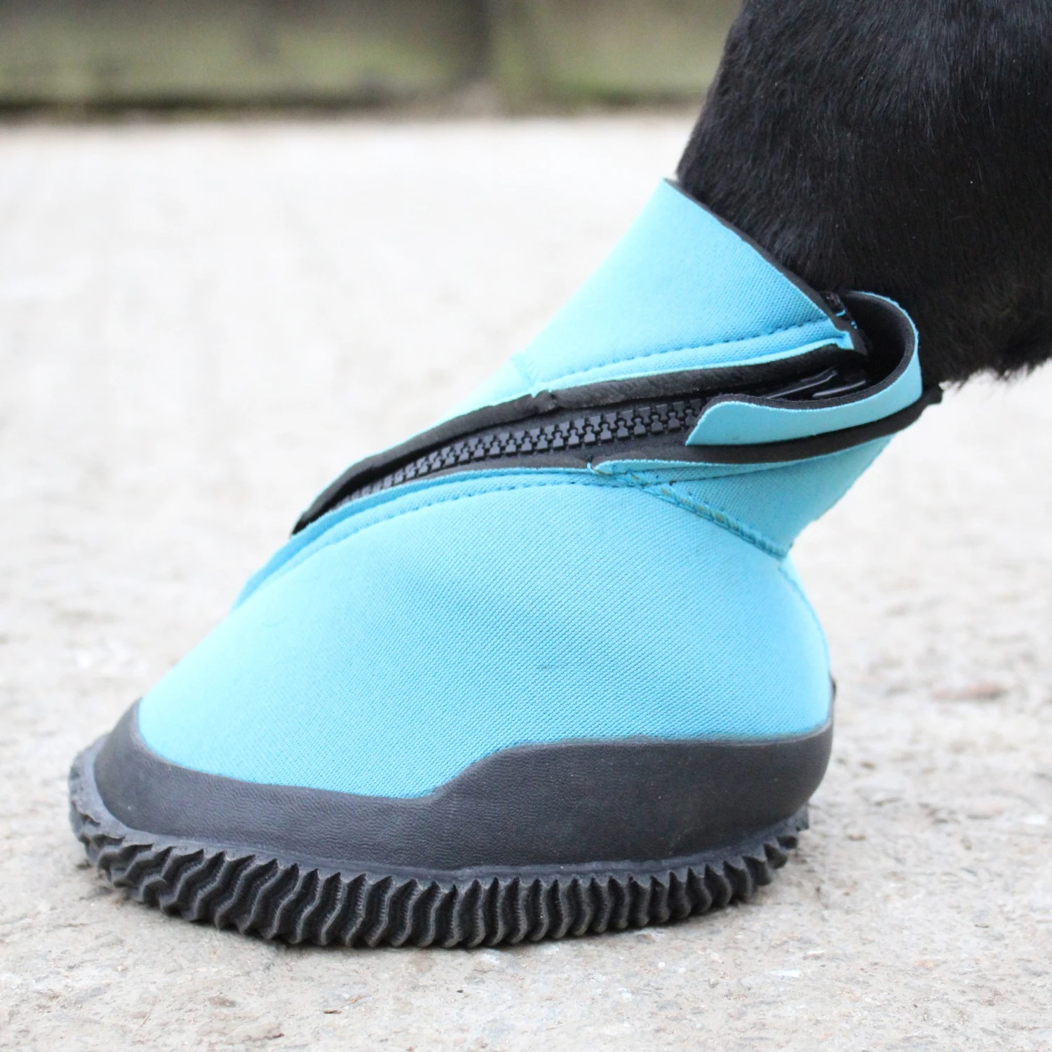 Woof Wear Medical Hoof Boot (Blue) - Image 5