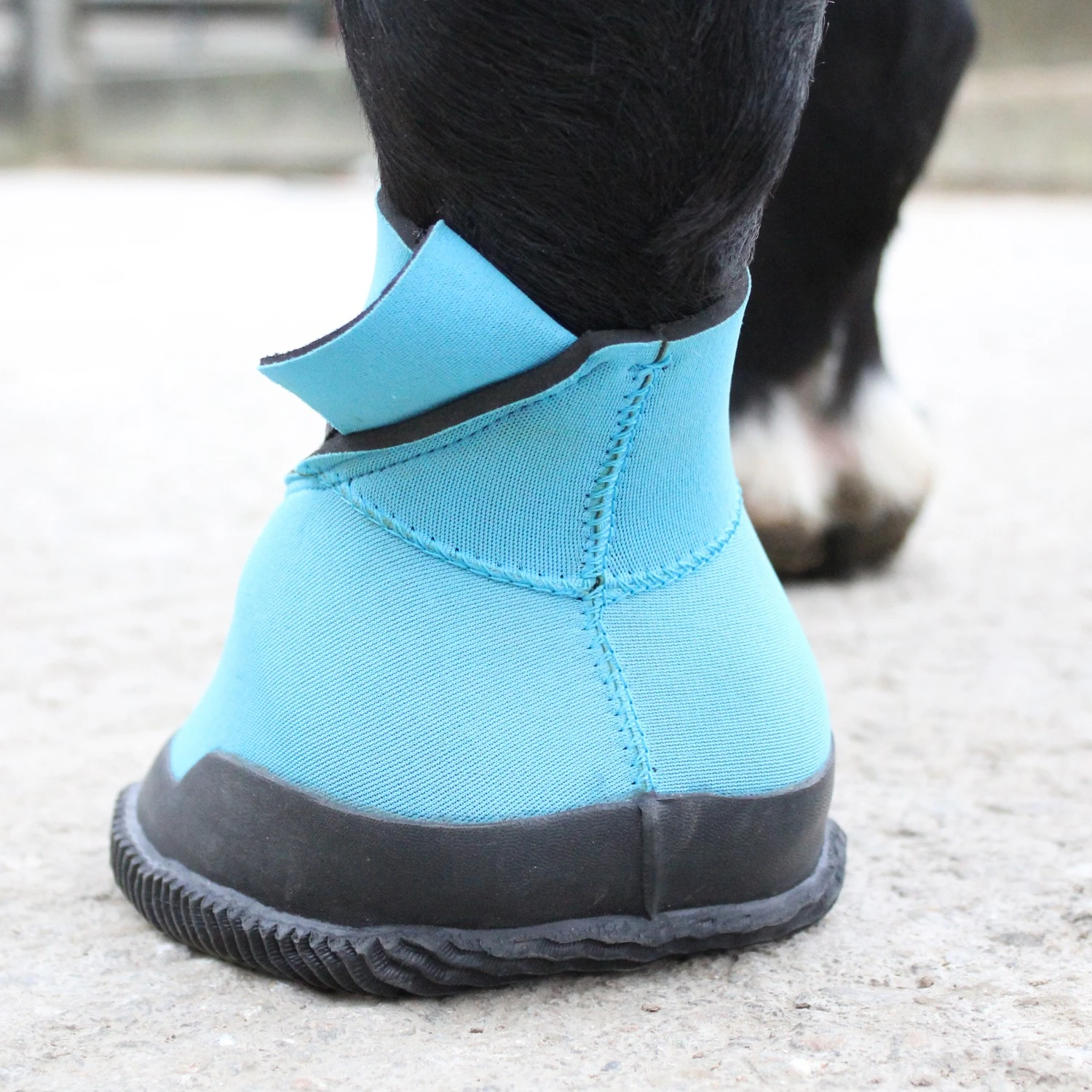 Woof Wear Medical Hoof Boot (Blue) - Image 6