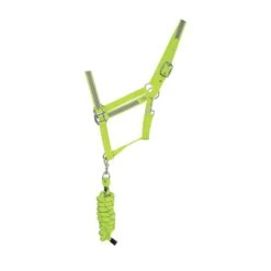 HyVIZ Reflector Head Collar And Lead Rope