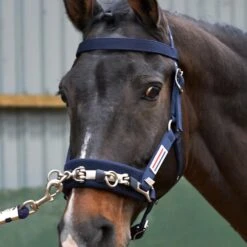 Whitaker Lunge Cavesson (Navy)